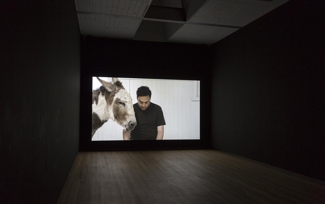 Shannon reads a waiata to a donkey in a white cottage or shed